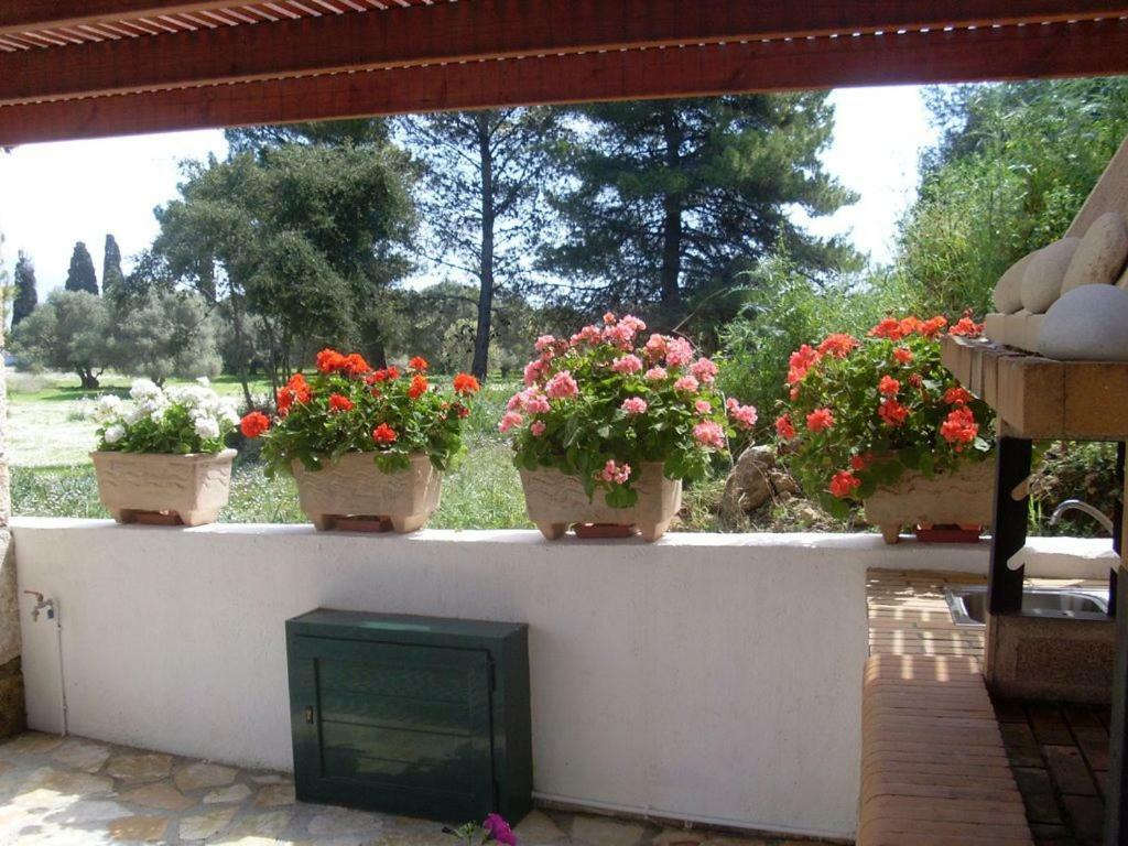 Villa Amelia Metaxáta Dış mekan fotoğraf