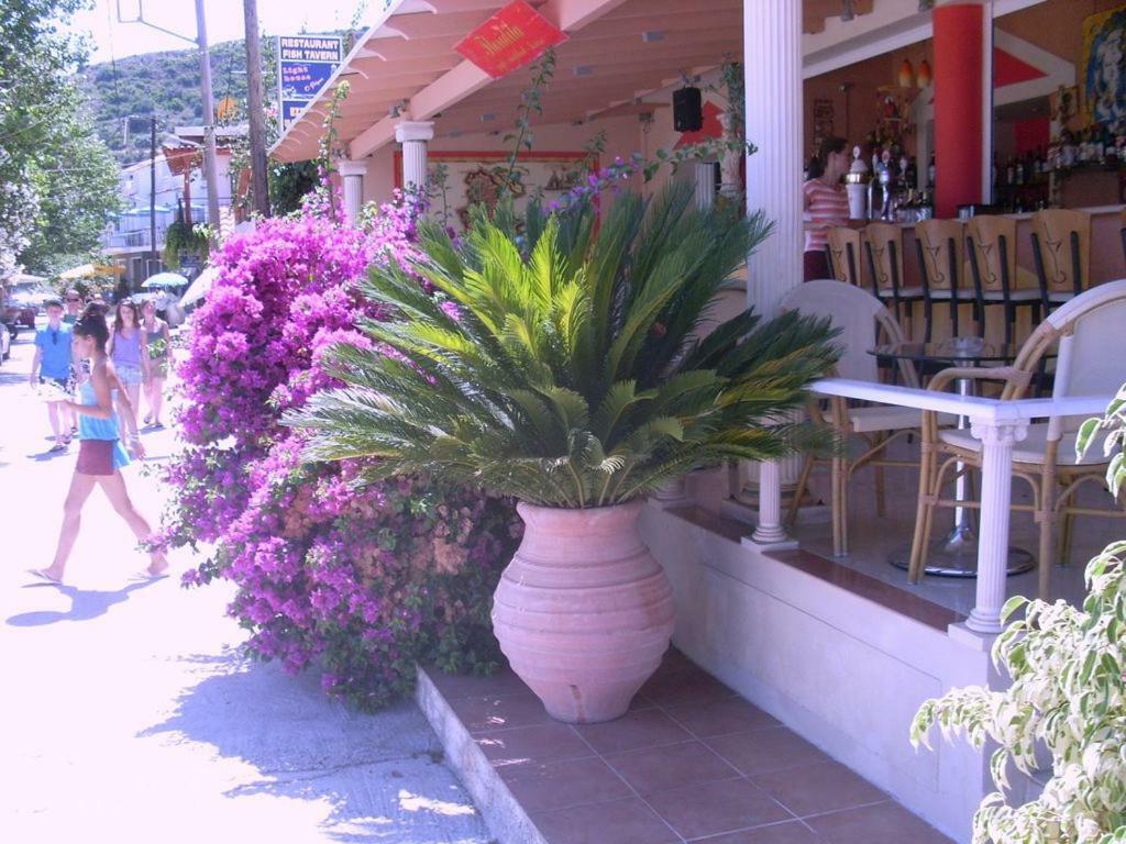 Villa Amelia Metaxáta Dış mekan fotoğraf